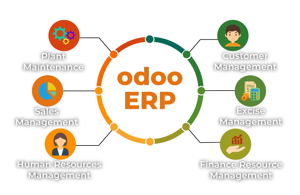 process of odoo erp development